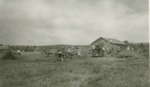 Puolakka puintia 1934