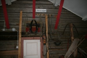 IMG_4352